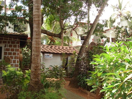 Alidia Beach Cottage Resort, Goa. Resort Name Alidia Beach Cottage Resort