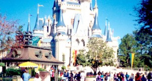 disney disney