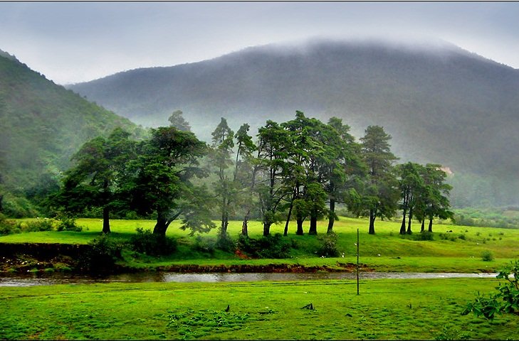 KERALA-WILDLIFE-THRILLS.jpg