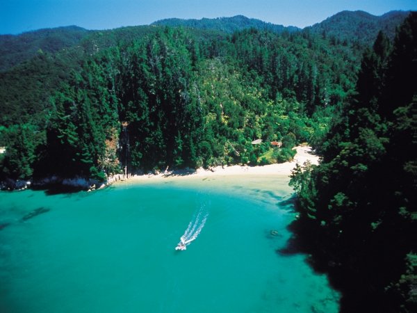 new zealand travel international