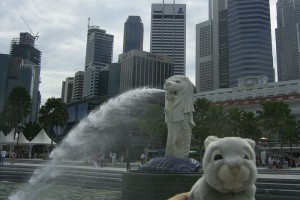 Singpore Tour Singpore Tour