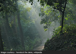 Corbett National Park