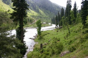 Valley of Shepherd Pahalgam