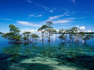 Havelock Island baratang island