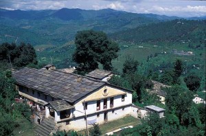 Mesmerize Almora