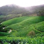 Best of Kerala Package 4 Days/ 3 Nights at Rs. 8960 from Iris Holidays Best of Kerala Package 4 Days/ 3 Nights at Rs. 8960 from Iris Holidays