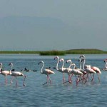 PURI – A TOURIST PARADISE @ Rs 2575/- for 1 Night/2 Days from Rail Tourism India