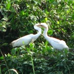 Grand South India for 20 Nights/21 Days at $ 1307 from TSI Holidays Grand South India for 20 Nights/21 Days at $ 1307 from TSI Holidays