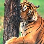 Kerala Spice Tour for 10 Nights/11 Days at $ 683 from TSI Holidays