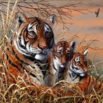 Golden Triangle Tiger and Birds Tour for 08 Nights / 09 days from Culture Holidays Golden Triangle Tiger and Birds Tour for 08 Nights / 09 days from Culture Holidays