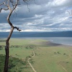 International Tour Packages of South Africa, Europe, Kenya from carnation travels International Tour Packages of South Africa, Europe, Kenya from carnation travels