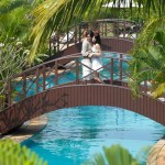 Coolest Goa Cheapest Goa from Dream Vision Holidays Coolest Goa Cheapest Goa from Dream Vision Holidays