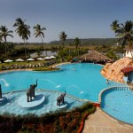 Christmas and New Year Package from Ashex Tourism Christmas and New Year Package from Ashex Tourism
