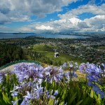 Exciting New Zealand city tour from Diya Holidays Exciting New Zealand city tour from Diya Holidays