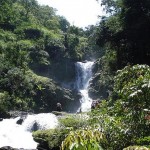 Domestic Southern Getaways to Coorg from SOTC Domestic Southern Getaways to Coorg from SOTC