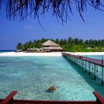 Maldives the Sun, sand and sea tour Maldives the Sun, sand and sea tour