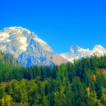 HOTEL SUKH SAGAR REGENCY SHIMLA