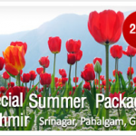 Summer Holidays in Kashmir Summer Holidays in Kashmir