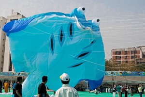 Enjoy Kite Festival Gujarat from Travel Guru