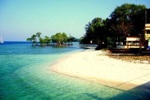 Andaman Getaways Tour Package from Akbar Travels