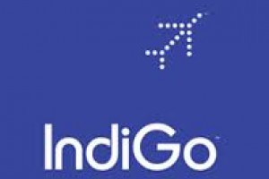 Get Rs 1000 OFF On Business Packages From Indigo