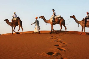 6 Days Thar Desert Odyssey Tour Package