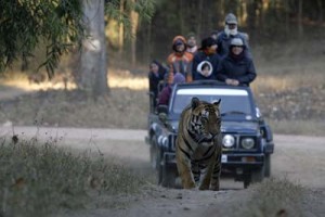 Exotic Madhya Pradesh Tour Package