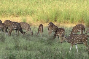 Heartland Of India Tour Package From Cox And King