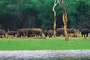 Breathtaking Kerala Tour Package By Thomas Cook