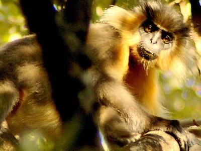 Cox Kings Travel Packages Cox And Kings Holiday Tour Package -