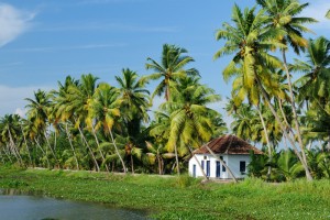 Kerala Tour Package from railtourismindia