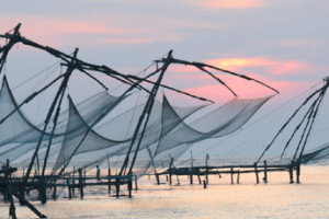 City Breaks Amazing Kochi Tour Package By Thomascook