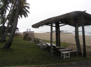 Coconut Grove Beach Resort, Goa