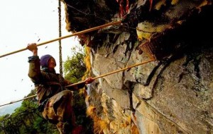 Honey Hunting in Nepal