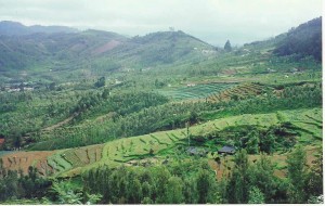 South India Golden Triangle