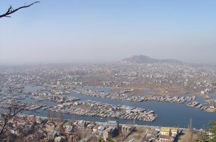 Srinagar View