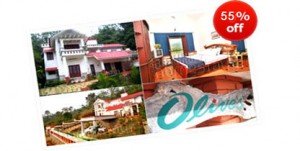 Olives Homestay Wayanad