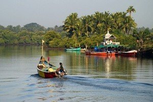 Backwaters De Goa