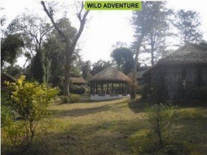 CAMP DHIKULI