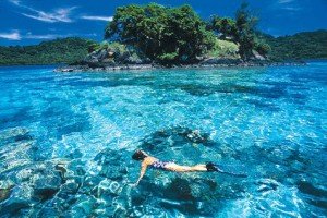Fiji Snorkeling