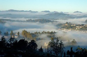 Ooty View