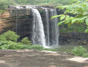 pANNA nATIONAL pARK