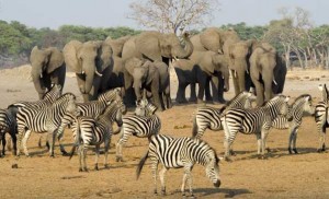 South Africa Package