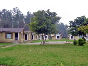 Parwati Wild Abode Resort