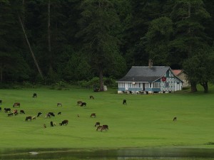 Dalhousie