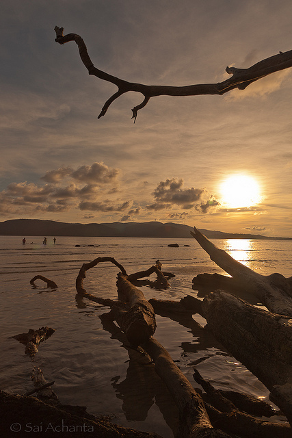 Carbyn’s cove beach
