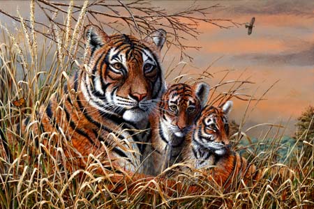 Ranthambhore.