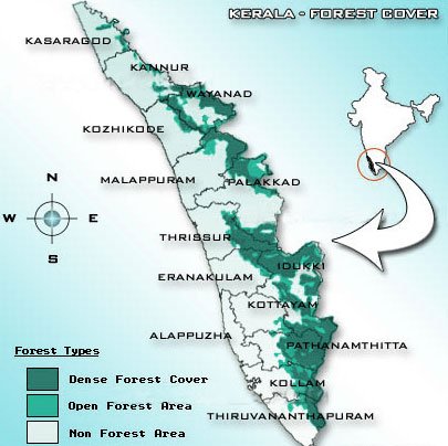 Forest Area in Kerala