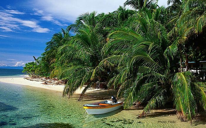 Palmed-line-beach-of-port-blair