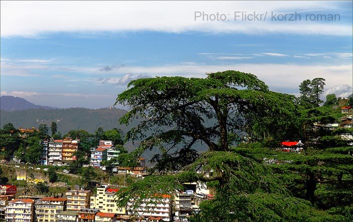 Shimla.